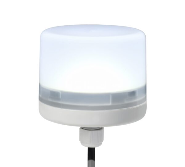 E-LITE CLR LED CABLE V24 DC GR